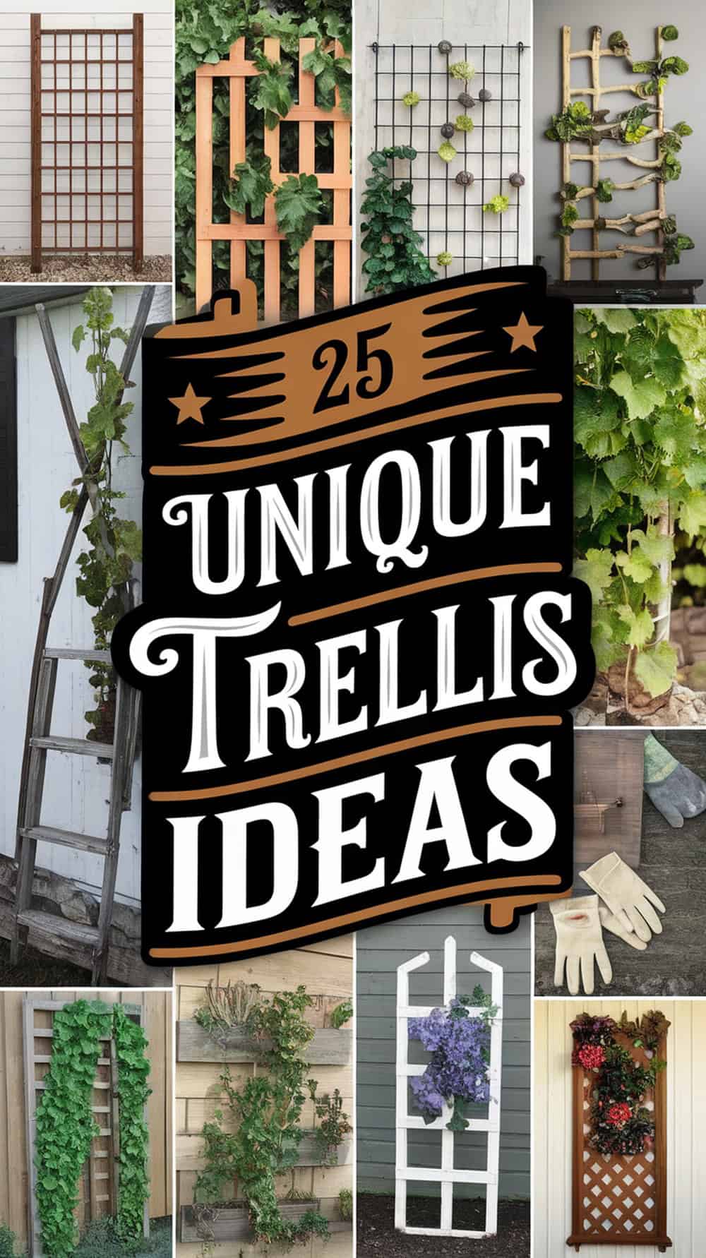 Fun Trellis Unique Trellis Ideas That Added Charm to Our Outdoor Space - Small ...