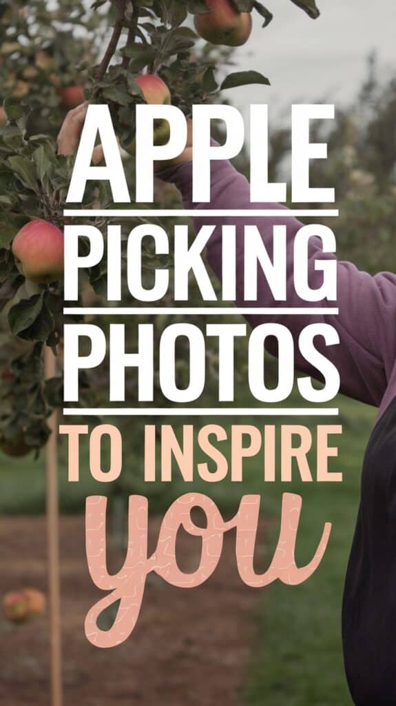 A person in a purple shirt reaches to pick an apple from a tree, with overlaid text stating 'Apple Picking Photos to Inspire You.'