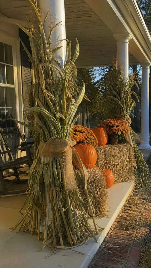 Corn Stalks and Hay Bales