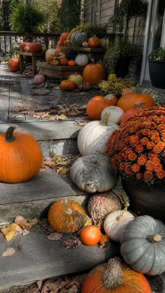 Embrace Pumpkins and Gourds Everywhere