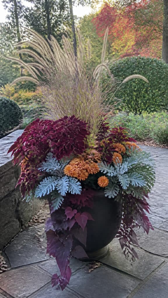 Mixed Texture Container Garden