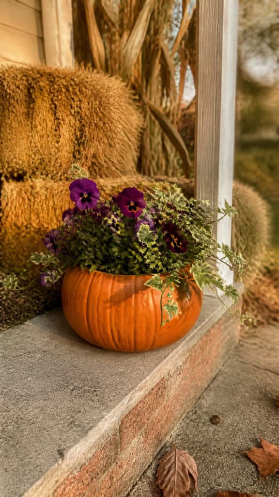 Pumpkin Planter Display