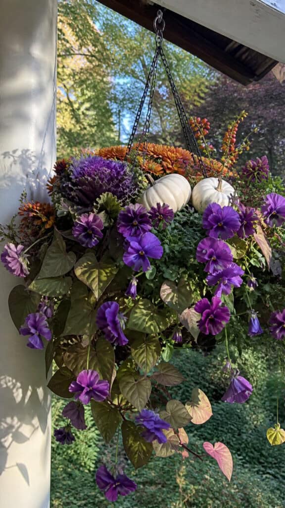 Hanging Basket Autumn Cascade