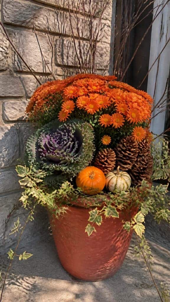 Budget-Friendly Fall Planter Ideas That Look Expensive