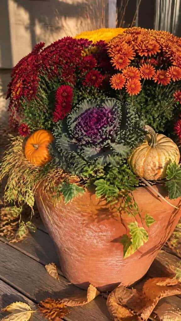Classic Mum Combinations That Never Disappoint