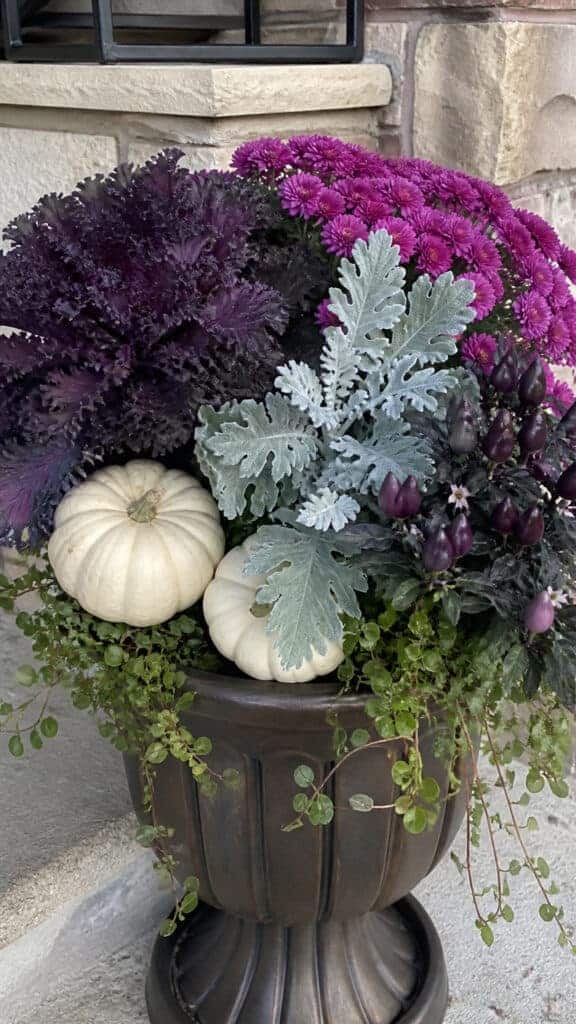 Incorporating Unexpected Fall Colors