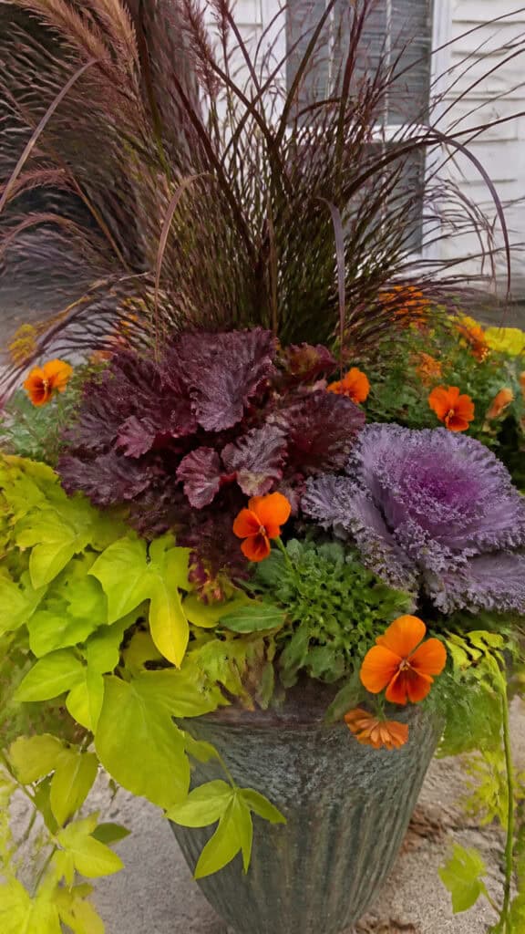 Cozy Texture-Rich Layered Planters