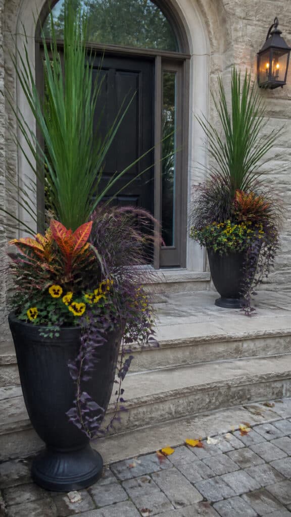 Dramatic Tall and Spiky Plant Combinations
