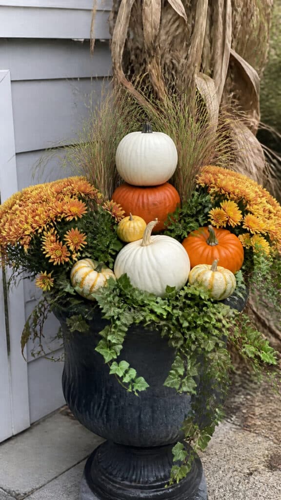 Pumpkin and Gourd Integrated Displays