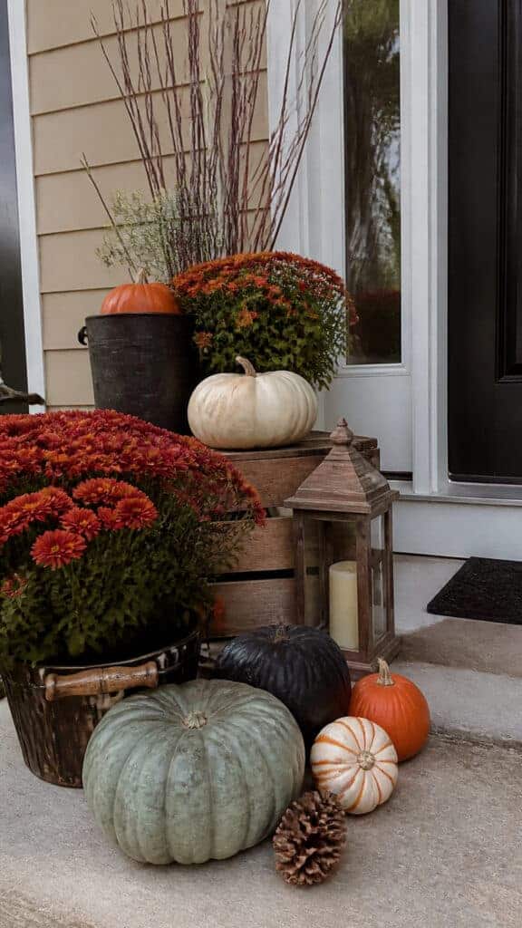 Budget-Friendly Tips for Stunning Displays