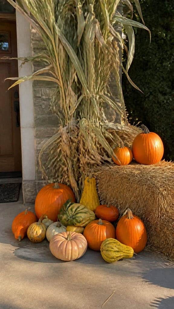 Pumpkin and Cornstalks Corner Arrangement