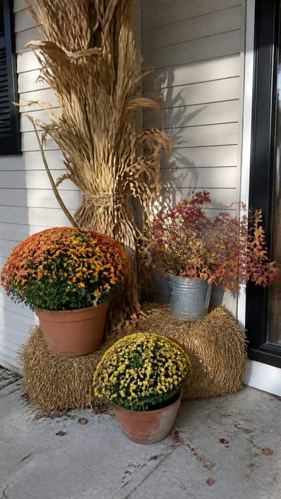 Incorporate Natural Elements And Greenery
