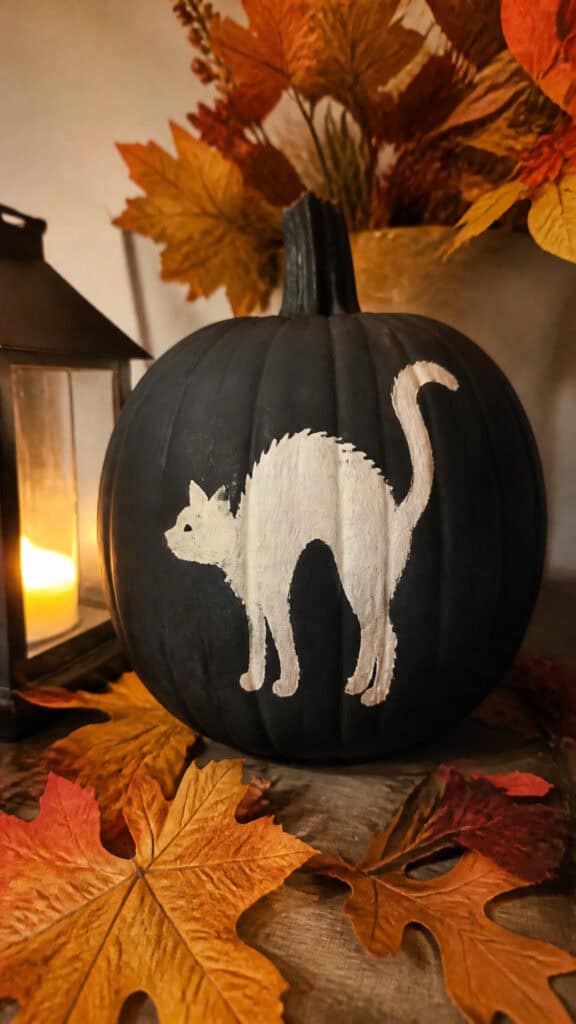 Black Cat Silhouette