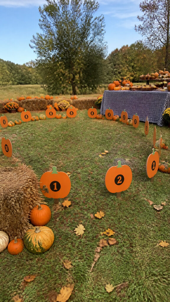 Pumpkin Patch Extravaganza