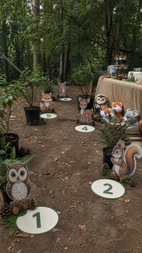 Woodland Creatures Adventure