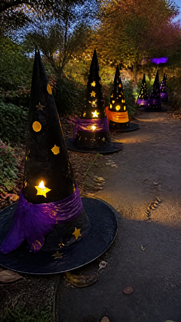 Whimsical Witch Hat Luminaries