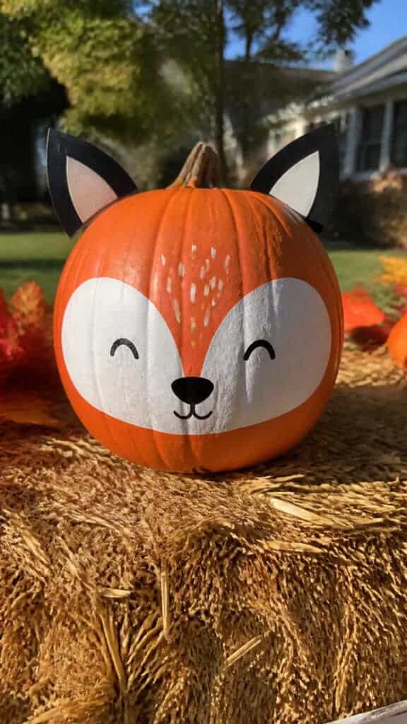 Adorable Animal Face Pumpkins