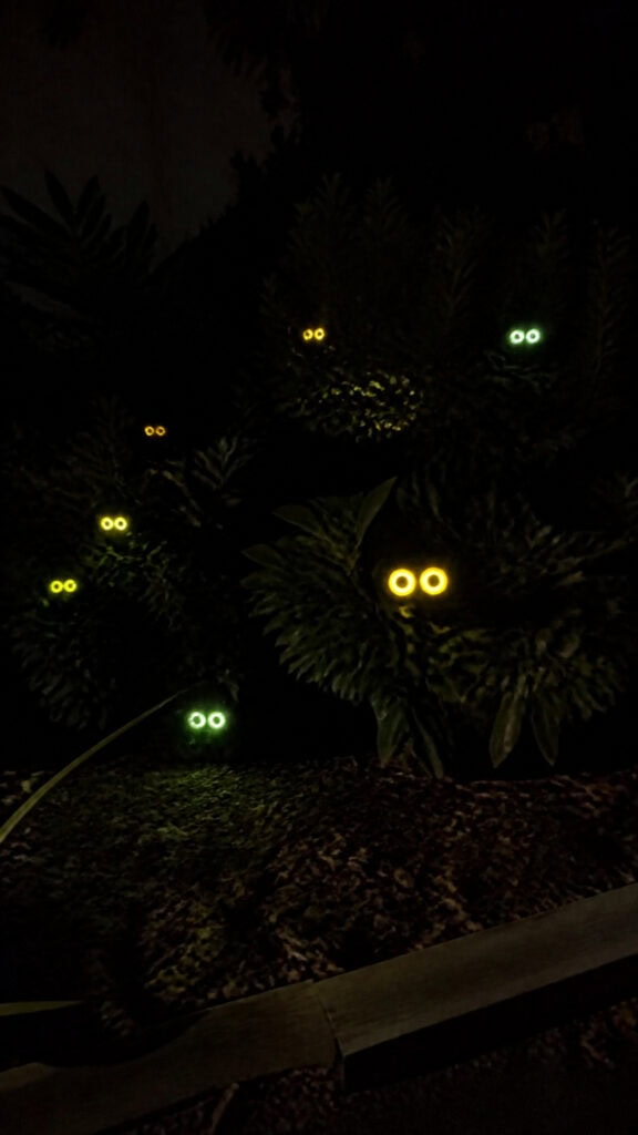Creepy Glowing Eyes Lurking in the Bushes
