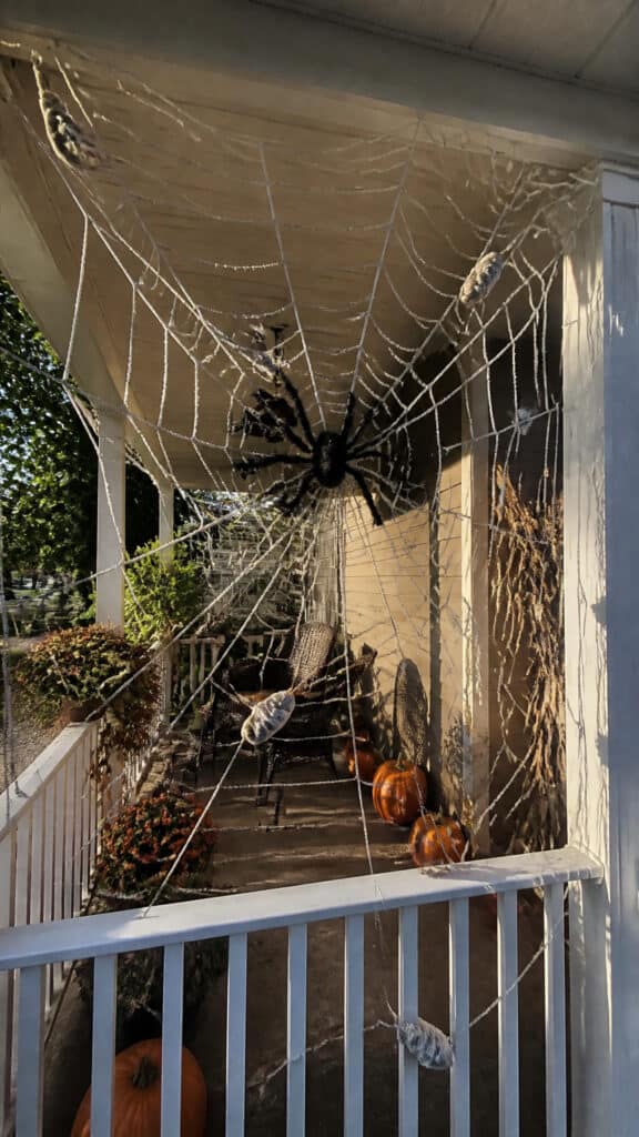 Giant Spider Web That Catches Everyone's Attention