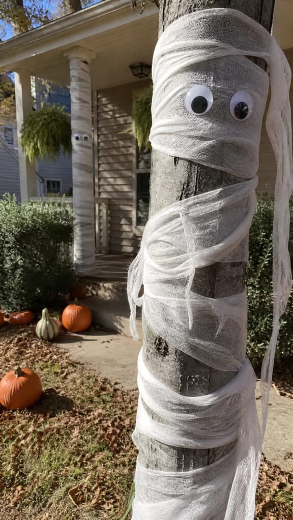Mummy-Wrapped Trees and Porch Posts