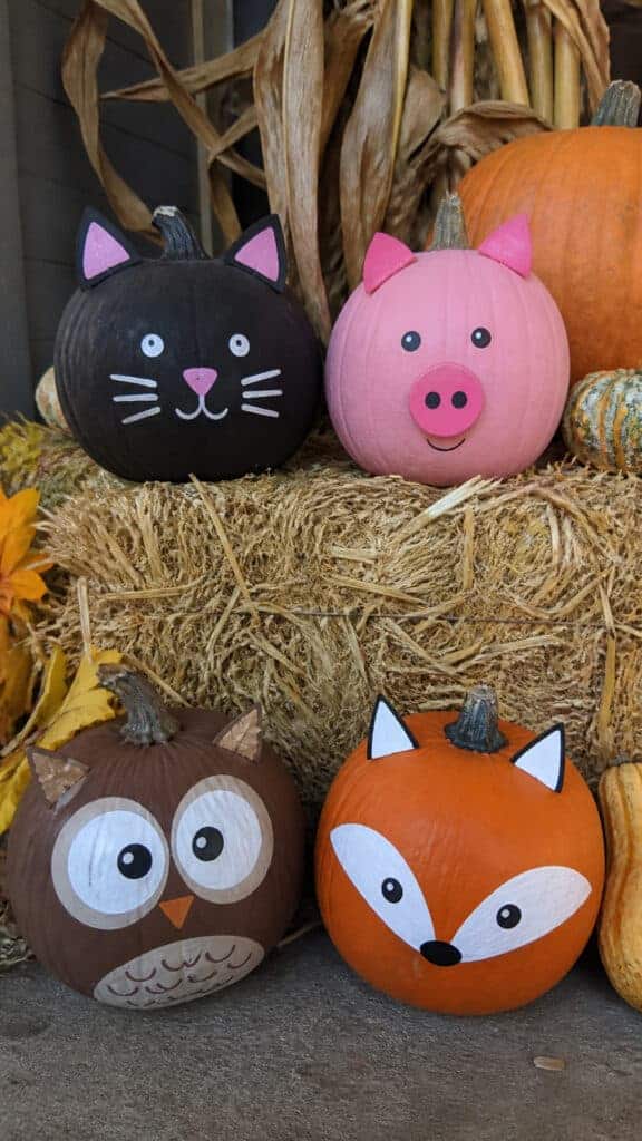 Painted Animal Face Pumpkins