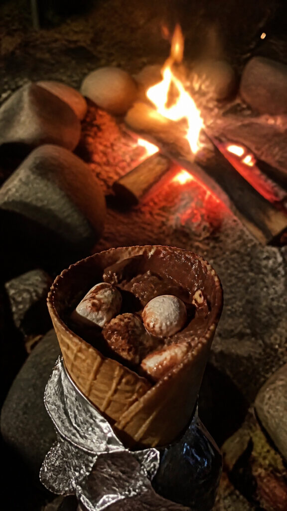 Sweet and Savory Campfire Cones