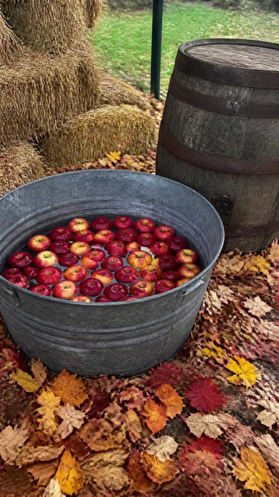 Apple Bobbing Championship