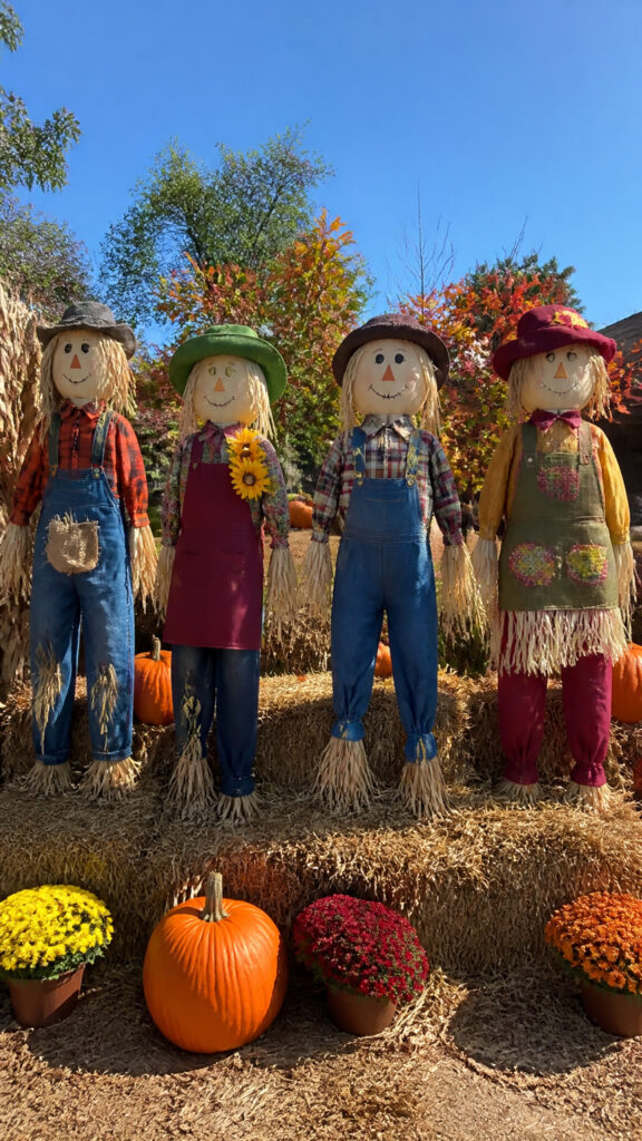 Scarecrow Building Competition