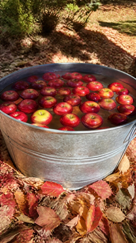 Apple Bobbing Station