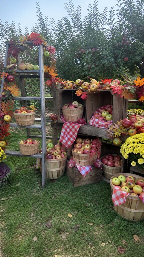 Cozy Apple Orchard Corner