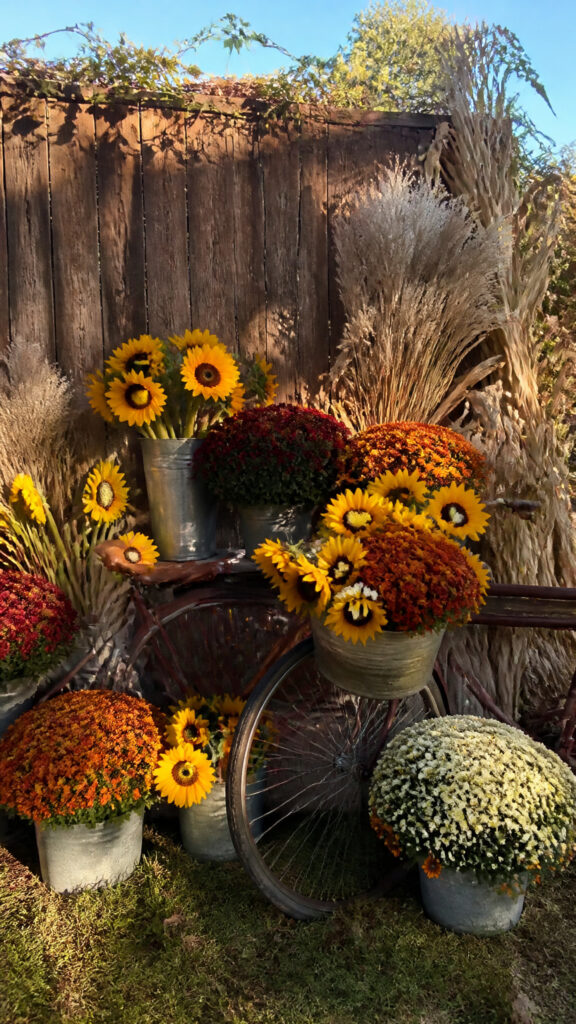 Magical Sunflower and Mum Display