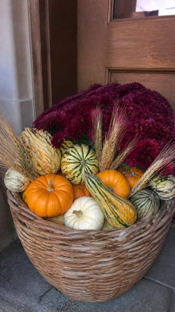 Classic Pumpkin and Mum Abundance