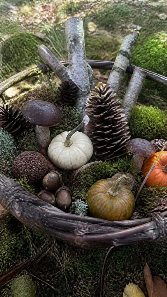 Woodland Wonderland with Natural Elements