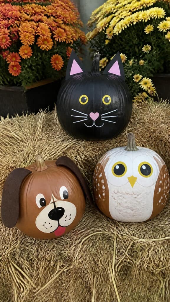 Animal Faces That Are Adorably Ridiculous