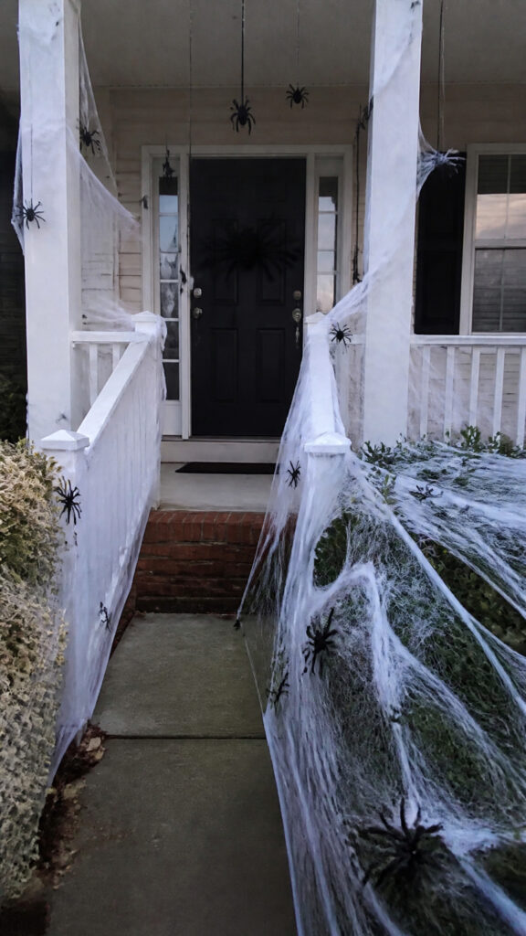 Spiderwebs and Creepy Crawlies Everywhere
