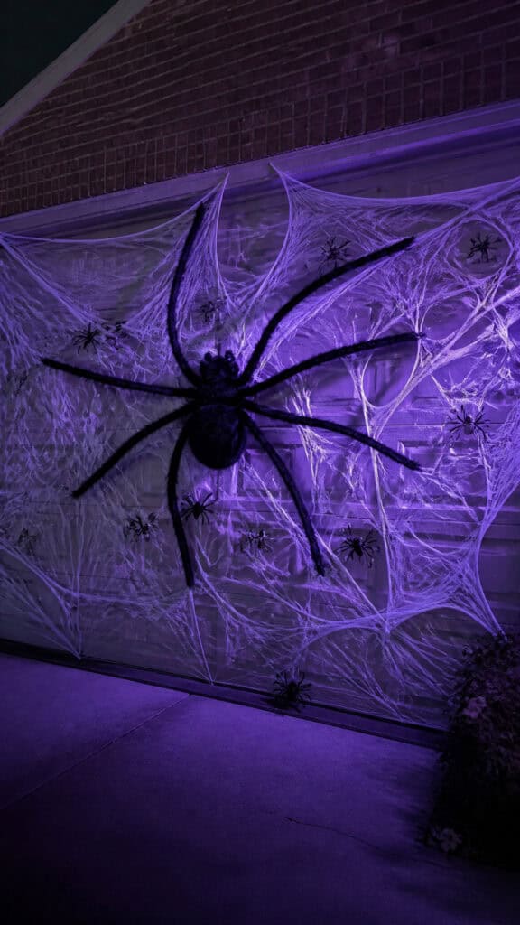 Giant Spider and Web Display