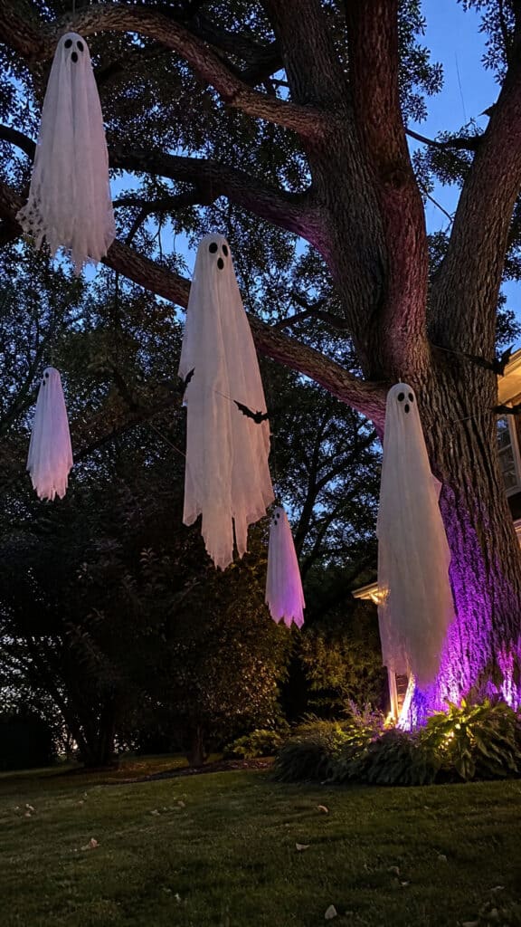 Hanging Ghosts and Flying Creatures