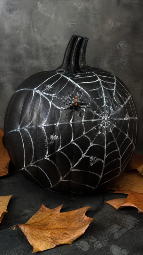 Spooky Spider Web