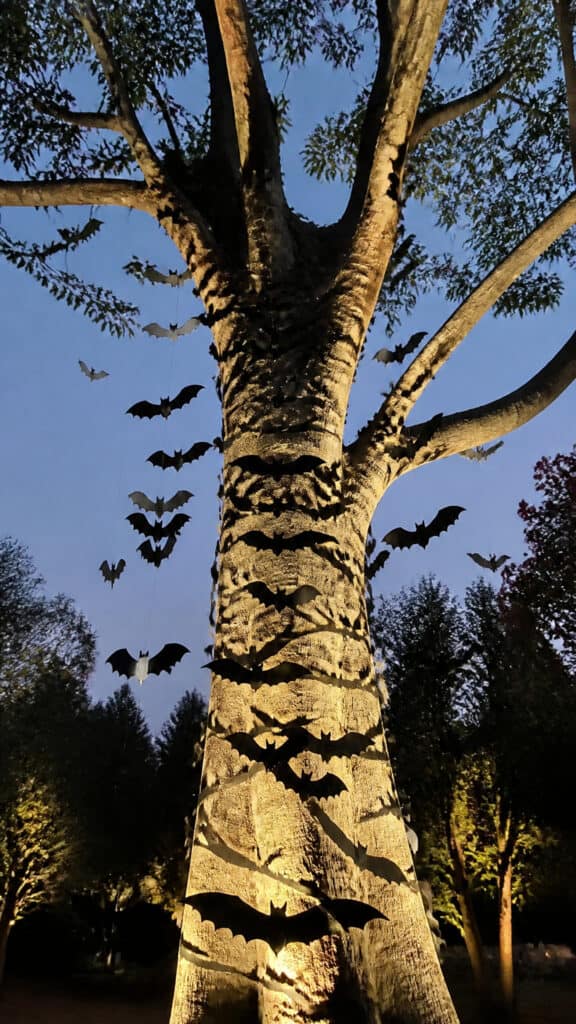 Bat Swarm Silhouettes