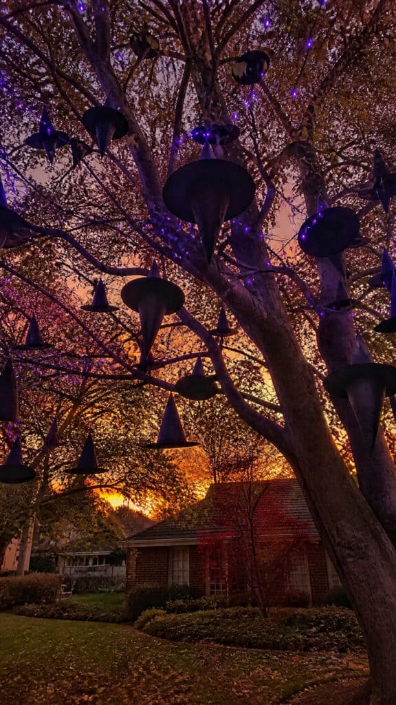 Hanging Witch Hat Collection