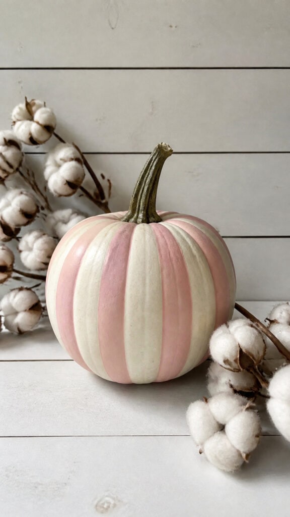Two-Tone Pink and Cream Striped Pumpkin