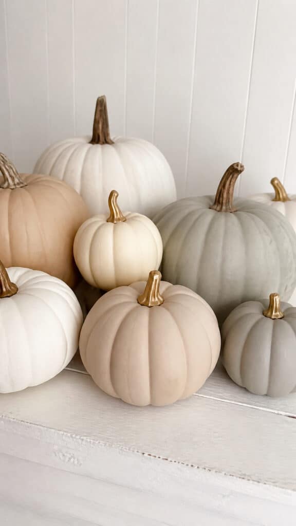 Minimalist Neutral Pumpkins
