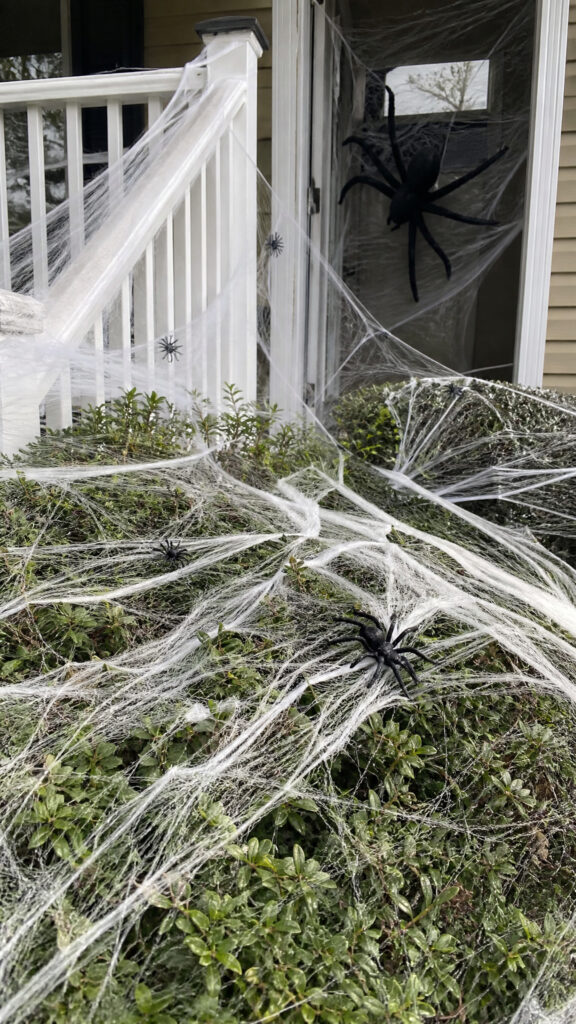 Creepy Crawly Spider Invasion