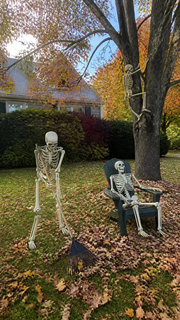 Skeleton Crew Antics