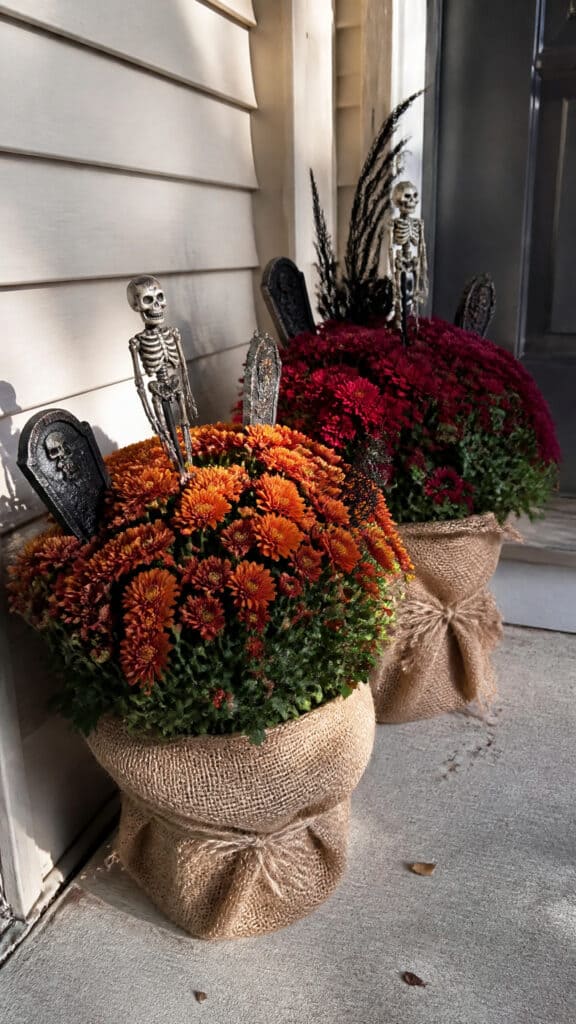 Potted Plant Transformation
